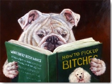 Lucia Heffernan, Casanova (Frauenheld, Hund, Rüde, lesen, Buch, Spaß, Grafik, Fotorealismus, Wunschgröße, witzig, lustig, komisch, Wohnzimmer, Treppenhaus, Bibliothek, bunt,Comic)
