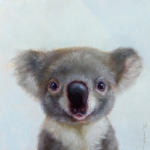 Lucia Heffernan, Lil Koala (Koala, Bär, Tierportrait,Spaß, Grafik,  Wunschgröße, witzig, lustig, komisch, Wohnzimmer, Treppenhaus,  bunt)