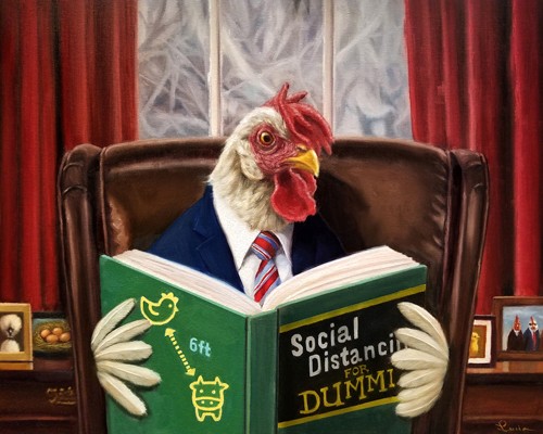 Lucia Heffernan, Bird Brain (Hahn, Gockel, Buch, lesen, Elegant, Spaß, Grafik,  Antropomorphismus, Wunschgröße, witzig, lustig, komisch, Wohnzimmer, Treppenhaus, Bibliothek, Bücherei, bunt)