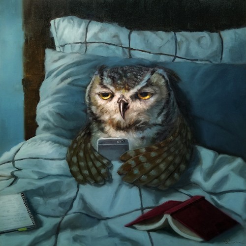 Lucia Heffernan, Night Owl (Eule, Nachteule, Bett, Lesen, Spaß, Grafik,  Antropomorphismus, Wunschgröße, witzig, lustig, komisch, Wohnzimmer, Schlafzimmer,  bunt,Comic)