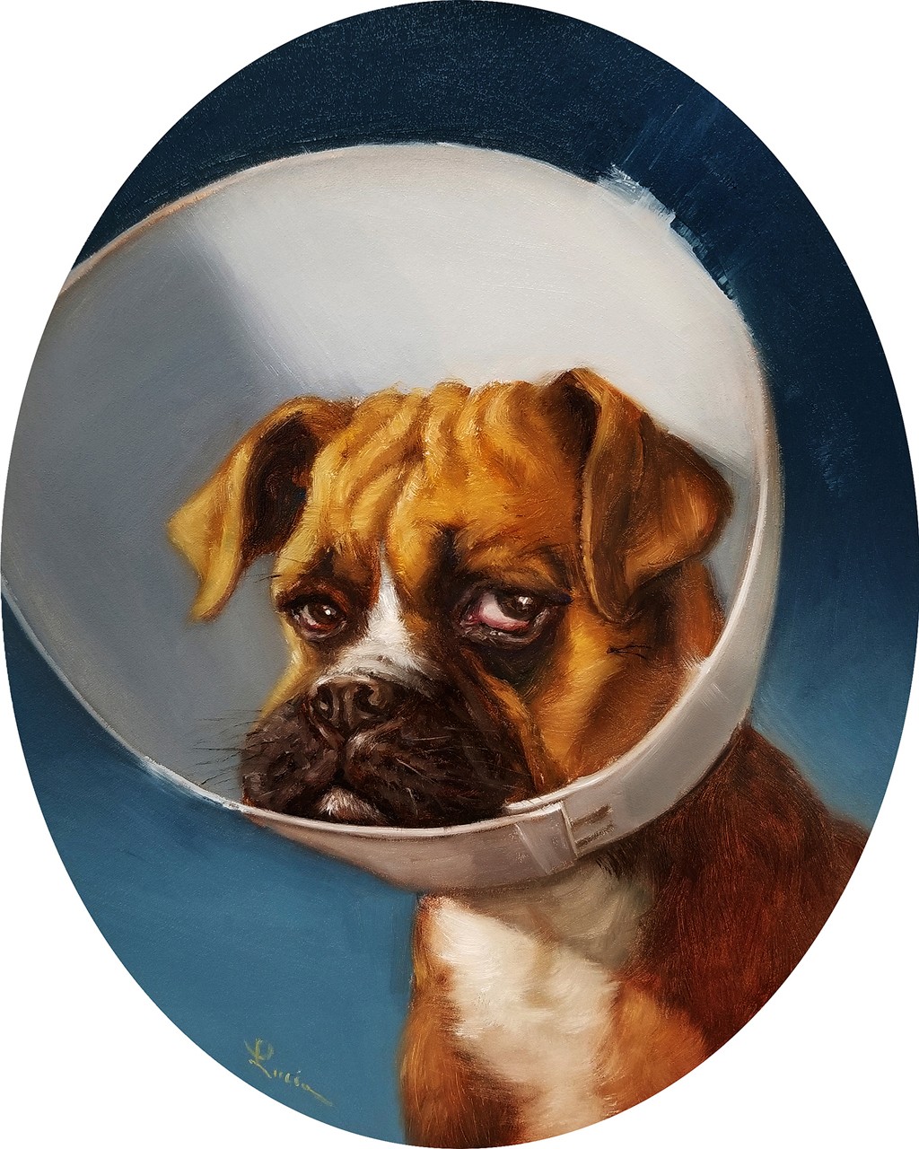 Lucia Heffernan, Cone of Shame (Hund, Boxer, Trichter, Schutz, Spaß, Grafik,  Wunschgröße, witzig, lustig, komisch, Wohnzimmer, Treppenhaus, bunt,Comic)