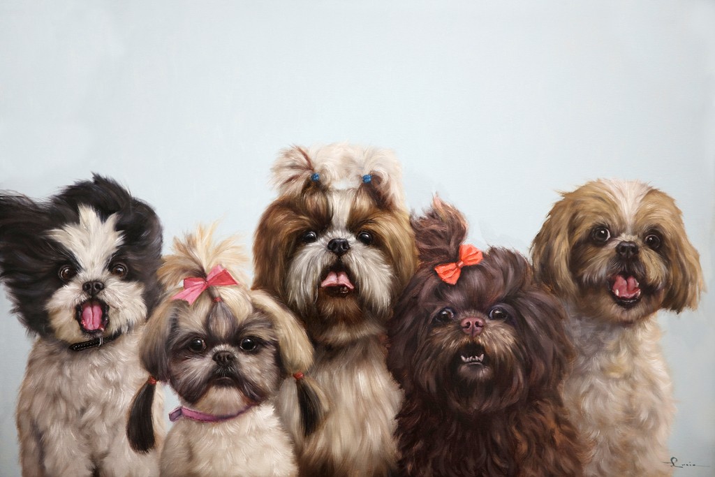 Lucia Heffernan, He left Her for a Mutt (Hunde, niedlich, Schleifen, Kötter, Spaß, Grafik,  Antropomorphismus, Wunschgröße, Comic, witzig, lustig, komisch, Wohnzimmer, Treppenhaus, bunt)