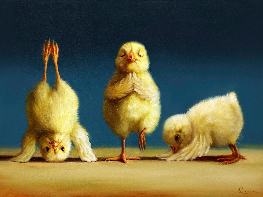 Lucia Heffernan, Yoga Chicks (Küken, Yoga, Antropomorphismus, Wunschgröße, Comic, witzig, lustig, komisch, Wohnzimmer, Treppenhaus, bunt)