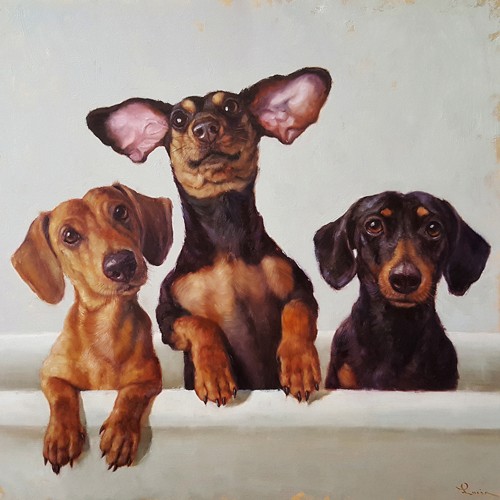 Lucia Heffernan, 3 Amigos (Hunde, Dackel, drei Hunde, neugierig, lebhaft, aufmerksam, Freunde, Spaß, Grafik, Wunschgröße, witzig, lustig, komisch, niedlich, Wohnzimmer, Treppenhaus, Kinderzimmer, bunt,Comic)