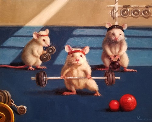 Lucia Heffernan, Gym Rats (Ratten, Sport, Fitnesstudio, Gewichtheber, Kraftsport,  Anthropomorphismus, Grafik, Wunschgröße, witzig, lustig, komisch, Wohnzimmer, Treppenhaus, bunt,Comic)