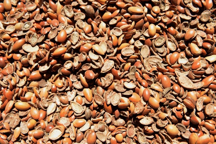 Hady Khandani, ARGAN NUTSHELLS - MOROCCO (HADYPHOTO, Fotografie, Früchte, Nüsse, Argan, Nussschalen,  Nahaufnahme, Küche, Esszimmer, Bistro, Treppenhaus, Wunschgröße, bunt)