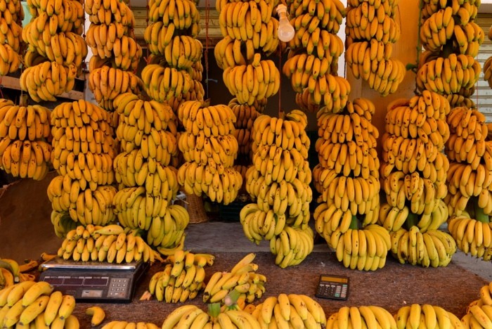 Hady Khandani, BANANA STALL - AGADIR - MOROCCO (HADYPHOTO, Fotografie, Früchte, Bananen, Bananenstauden, Küche, Esszimmer, Bistro, Treppenhaus, Wunschgröße, bunt)