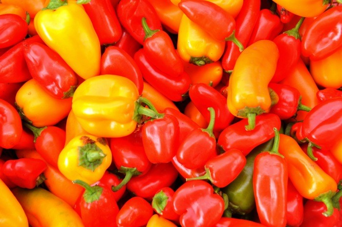Hady Khandani, BELL PEPPERS - YELLOW AND RED (HADYPHOTO, Fotografie, Gemüse, Paprika, Paprikaschoten, Nahrungsmittel, Küche, Gastronomie, Wunschgröße, orange/rot)