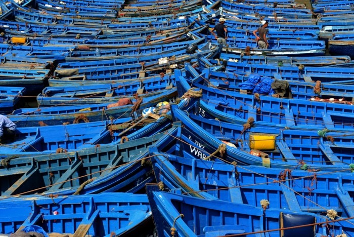 Hady Khandani, BLUE BOATS OF ESSAOUIRA - MOROCCO 1 (HADYPHOTO, Fotografie, Boote, Ruderboote, Marokko, Wohnzimmer, Treppenhaus, Wunschgröße, blau/bunt)