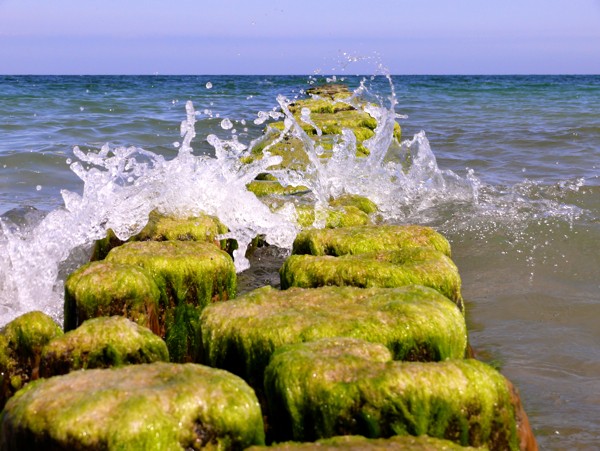 Hady Khandani, BUNEN 1 (Wunschgröße, HADYPHOTO, Fotografie, Fotokunst, Meer, Meeresbrise, Bunen, Wellenbrecher, Horizont, Wohnzimmer, Treppenhaus,  bunt)