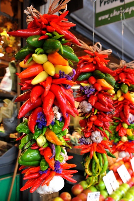 Hady Khandani, COLORFURL CHILI (HADYPHOTO, Fotografie, Gemüse, Paprika, Knoblauchknollen, Paprikaschoten, Chili, Chilischoten, Gemüsezopf, Nahrungsmittel, Küche, Gastronomie, Wunschgröße, bunt)
