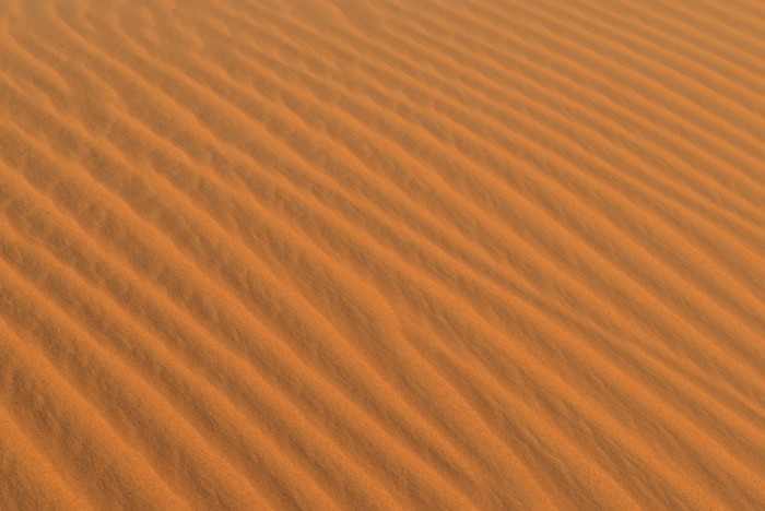 Hady Khandani, DESERT SOIL - SAHARA - MOROCCO 1 (HADYPHOTO, Fotografie, Landschaft, Marokko, Wüste, Sand, Sandwellen, Sahara, Nordafrika, Wohnzimmer, Treppenhaus, Wunschgröße, bunt)