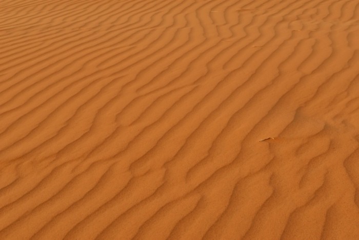 Hady Khandani, DESERT SOIL - SAHARA - MOROCCO 2 (HADYPHOTO, Fotografie, Landschaft, Marokko, Wüste, Sand, Sandwellen, Sahara, Nordafrika, Wohnzimmer, Treppenhaus, Wunschgröße, bunt)