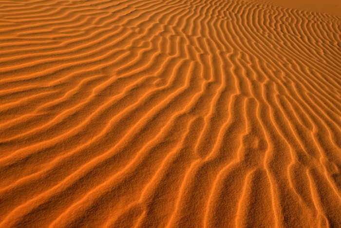 Hady Khandani, DESERT SOIL - SAHARA - MOROCCO (HADYPHOTO, Fotografie, Landschaft, Marokko, Wüste, Sand, Sandwellen, Sahara, Nordafrika, Wohnzimmer, Treppenhaus, Wunschgröße, bunt)