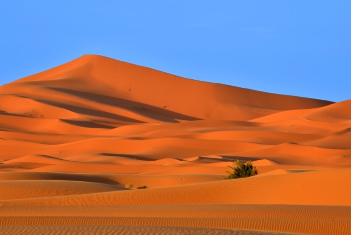 Hady Khandani, DUNES OF DESERT ERG CHEBBI - SAHARA - MOROCCO 1 (HADYPHOTO, Fotografie, Landschaft, Marokko, Wüste, Sand, Sanddünen, Sahara, Nordafrika, Wohnzimmer, Treppenhaus, Wunschgröße, bunt)