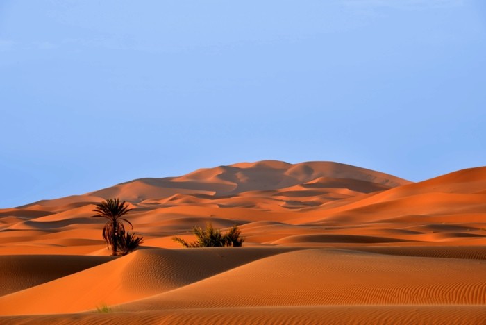 Hady Khandani, DUNES OF DESERT ERG CHEBBI - SAHARA - MOROCCO 2 (HADYPHOTO, Fotografie, Landschaft, Marokko, Wüste, Sand, Sanddünen, Sahara, Nordafrika, Wohnzimmer, Treppenhaus, Wunschgröße, bunt)