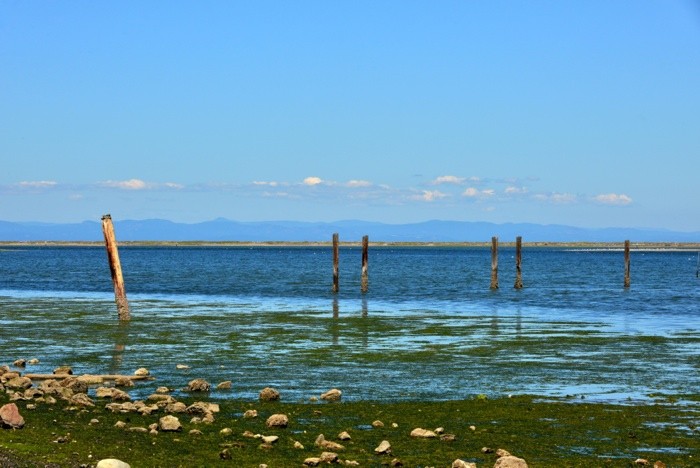 Hady Khandani, DUNGENESS BAY - NORTHERN OLYMPIC PENINSULA - USA 1 (HADYPHOTO, Fotografie, landschaft, USA, nationalpark, Washington, Meeresbrise, Bucht, Meer, Horizont, Wohnzimmer, Treppenhaus, Wunschgröße, bunt)