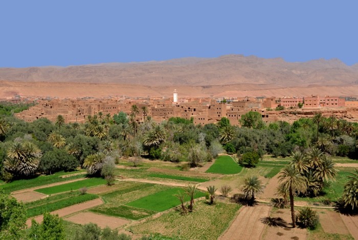 Hady Khandani, GREEN FIELDS AND VILLAGE OF TINEGHIR - MOROCCO (HADYPHOTO, Fotografie, Landschaft, Marokko, SFelder, Panorama, Treppenhaus, Wunschgröße, bunt)
