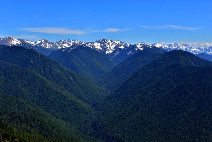 Hady Khandani, HURRICANE RIDGE VIEW ACROSS OLYMPIC MOUNTAINS - OLYMPIC PENINSULA - USA 1 (Landschaft, Berge, Gebirge, Panorama, Amerika,  Wunschgröße, Fotografie, Treppenhaus, Wohnzimmer,  bunt)