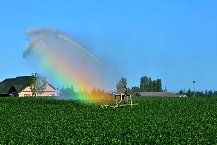 Hady Khandani, IRRIGATION RAINBOW