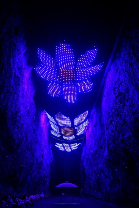 Hady Khandani, LIGHT SHOW - LED FLOWERS BLUEpg (HADYPHOTO, Fotografie)