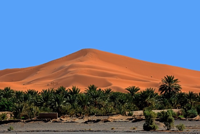 Hady Khandani, MERZOUGA OASIS IN FRONT OF ERG CHEBBI - MOROCCO (HADYPHOTO, Fotografie, Landschaft, Wüste, Oase, Palmen, Sanddüne, Marokko, Wohnzimmer, Treppenhaus, Wunschgröße, bunt)
