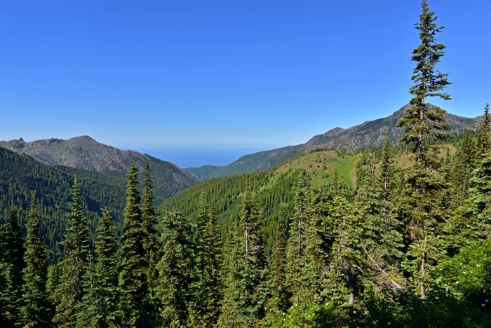 Hady Khandani, OLYMPIC MOUNTAINS - WASHINGTON - USA 6 (Landschaft, Wald, Berge, Amerika,  Wunschgröße, Fotografie, Treppenhaus, Wohnzimmer,  bunt)