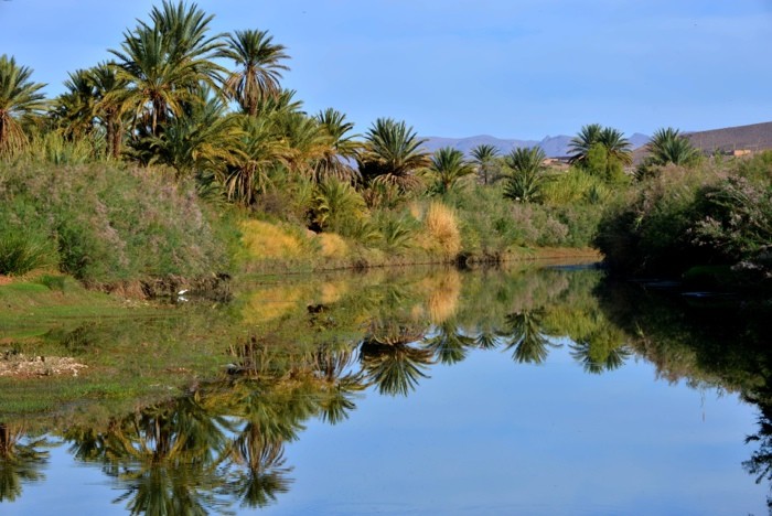 Hady Khandani, PALMS MIRRORING IN LITTLE LAKE - MOROCCO (HADYPHOTO, Fotografie, Landschaft, See, Palmen, Spiegelungen Marokko, Afrika, Wohnzimmer, Treppenhaus, Wunschgröße, bunt)