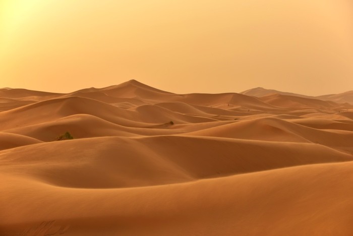 Hady Khandani, SAHARA DUNES IN EARLY MORNING LIGHT - ERG CHEBBI - MOROCCO 1 (HADYPHOTO, Fotografie, Landschaft, Sahara, Wüste, Sanddünen, Dämmerung, Marokko, Wohnzimmer, Treppenhaus, Wunschgröße, bunt)