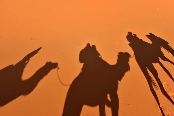 Hady Khandani, SHADOWS OF THE CARAVAN - SAHARA - MOROCCO 1 (HADYPHOTO, Fotografie, Sahara, Wüste, Sand, Licht/Schatten, Kamele, Karawane, Silhouetten, Marokko, Wohnzimmer, Treppenhaus, Wunschgröße, bunt)