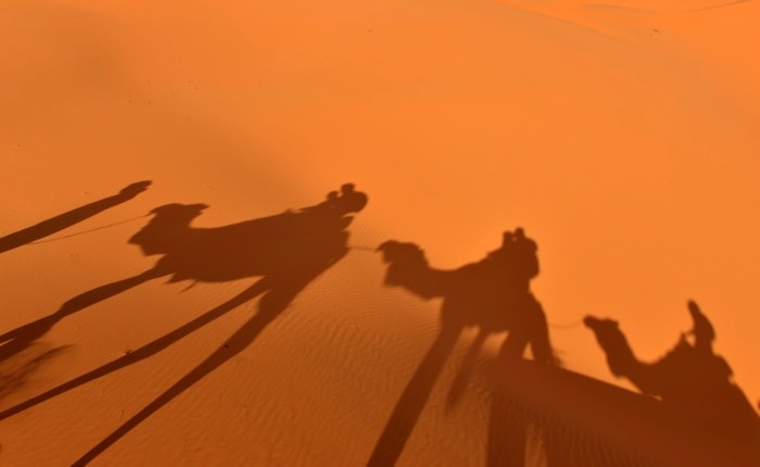 Hady Khandani, SHADOWS OF THE CARAVAN - SAHARA - MOROCCO 2 (HADYPHOTO, Fotografie, Sahara, Wüste, Sand, Licht/Schatten, Kamele, Karawane, Silhouetten, Marokko, Wohnzimmer, Treppenhaus, Wunschgröße, bunt)