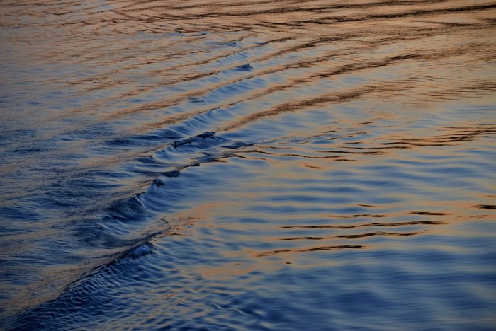 Hady Khandani, SUNSET LIGHT IN SINCLAIR INLET (Wasser, Wasseroberfläche, kräuseln, Sonnenlicht, Reflexion, Wunschgröße, Fotografie, Treppenhaus, Wohnzimmer, bunt)