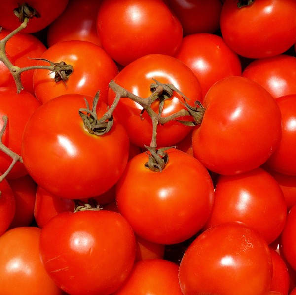 Hady Khandani, TOMATOES SQUARE (HADYPHOTO,Fotografie, Küche / Gastronomie, Tomaten, Gemüse, Strauchtomaten, Küche, Esszimmer, Gastronomie, Nahaufnahme, rot)