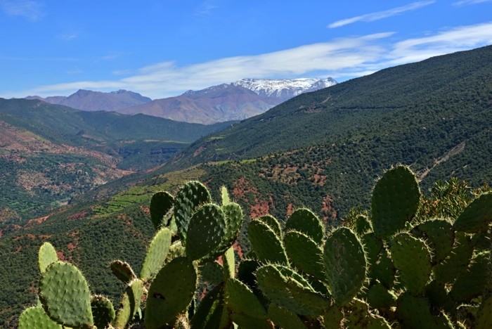 Hady Khandani, VIEW OF ATLAS MOUNTAIN RANGE - MOROCCO 1 (HADYPHOTO, Fotografie,   Landschaftsfotografie, Landschaft, Berge,Gebirge, Atlasgebirge, Feigenkakteen, Panorama, Marokko, Afrika, Wohnzimmer, Treppenhaus, Wunschgröße, bunt)