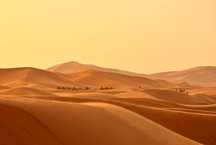 Hady Khandani, CARAVAN IN THE DUNES OF SAHARA DESERT - ERG CHEBBI - MOROCCO 1 (HADYPHOTO, Fotografie, Landschaft, Marokko, Wüste, Sand, Tiere, Kamele, Karawane, Wohnzimmer, Treppenhaus, Wunschgröße, bunt)