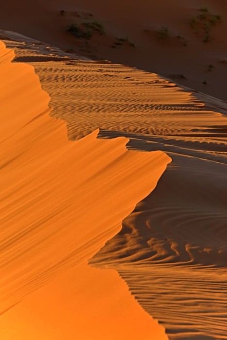 Hady Khandani, DAYBRAEAK IN THE DUNES OF SAHRA - ERG CHEBBI - MOROCCO 3 (HADYPHOTO, Fotografie, Landschaft, Marokko, Wüste, Sand, Sanddünen, Sahara, Nordafrika, Sonnenaufgang, Wohnzimmer, Treppenhaus, Wunschgröße, bunt)