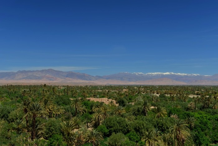 Hady Khandani, OASIS OF SKOURA - MOROCCO (HADYPHOTO, Fotografie, Landschaft,  Berge, Gebirge, Oase, Palmen, Marokko, Afrika, Wohnzimmer, Treppenhaus, Wunschgröße, bunt)