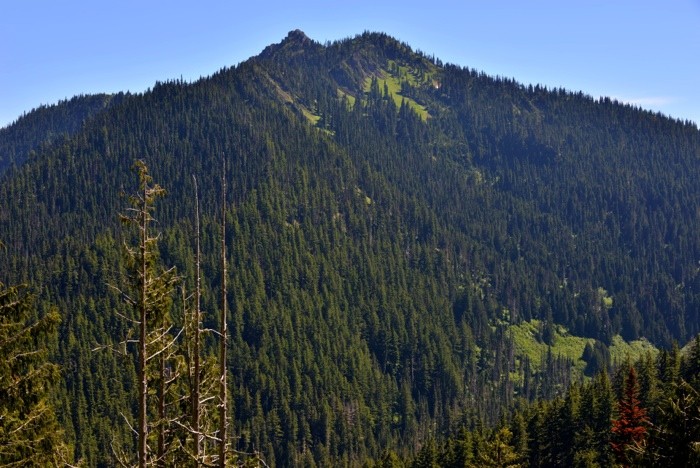 Hady Khandani, OLYMPIC MOUNTAINS - WASHINGTON - USA 1 (Landschaft, Berg, Wald, Amerika,  Wunschgröße, Fotografie, Treppenhaus, Wohnzimmer,  bunt)