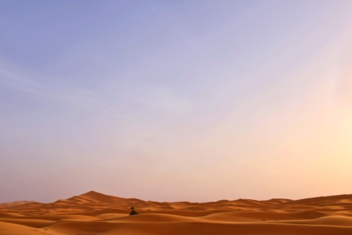 Hady Khandani, THE ENDLESSNESS OF SAHARA DESERT - ERG CHEBBI - MOROCCO (HADYPHOTO, Fotografie, Landschaft, Sahara, Wüste, Sanddünen, Panorama, Marokko, Wohnzimmer, Treppenhaus, Wunschgröße, bunt)