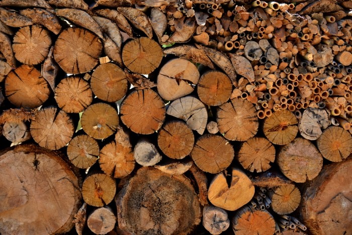Hady Khandani, WOOD PILE (HADYPHOTO, Fotografie, Holz, Holzstapel, Baumstämme, Wohnzimmer, Treppenhaus, Wunschgröße, bunt)