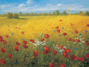 Heinz Schölnhammer, Sparkling field I (Landschaft, Feld, Kornfeld, Mohnblumen, Kornblumen, Feldblumen, Naturalismus, Wohnzimmer, Treppenhaus, Malerei, Wunschgröße, bunt)