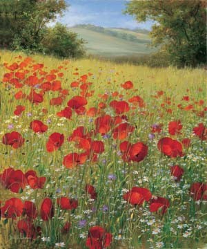 Heinz Schölnhammer, Sparkling field II (Landschaft, Feld, Mohnblumen, Sommer, Feldblumen, Naturalismus, Wohnzimmer, Treppenhaus, Malerei, Wunschgröße, bunt)