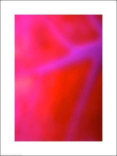 Henri BOISSIERE, Heb 005A, 2010 (Abstrakt, Abstrakte Kunst, unscharf, verschwommen, Farbfelder, meditativ, modern, Wohnzimmer, Jugendzimmer, neon, leuchtend, rot/pink)