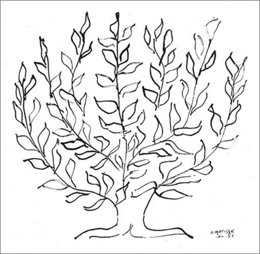 Henri Matisse, Le platane, 1951 (Büttenpapier) (Zeichnung, Baum, Platane, Äste, Blätter, Skizze, Klassische Moderne, Wohnzimmer, Treppenhaus,  schwarz/weiß)