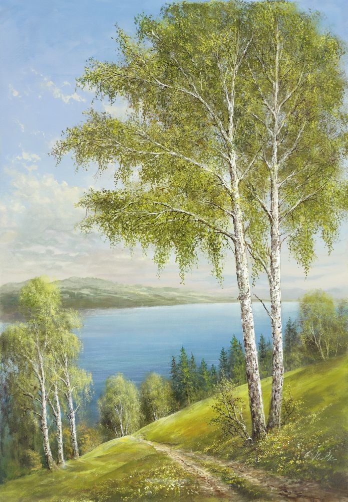 Helmut Glassl, BIRCHES AT THE LAKE II (Malerei, Landschaften, Natur, Hügel, Seelandschaft, See, Birken, Wanderweg, Einsamkeit, Idylle, Ruhe, Bäume, Wohnzimmer, Treppenhaus, bunt)