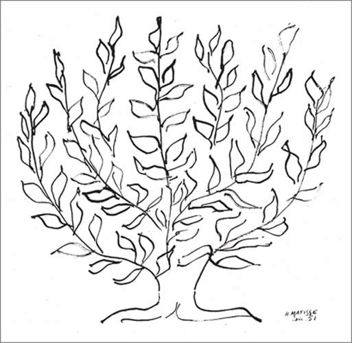 Henri Matisse, Le platane, 1951 (Büttenpapier) (Zeichnung, Baum, Platane, Äste, Blätter, Skizze, Klassische Moderne, Wohnzimmer, Treppenhaus,  schwarz/weiß)