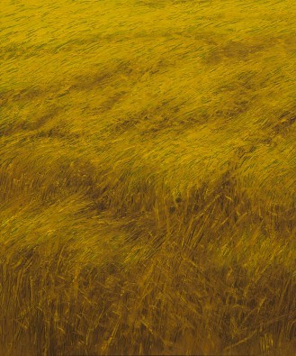 Heng Li, Der Roggen (Landschaften, diffuses Licht, Getreide, Roggenfeld, reife, Ähren, Treppenhaus, Wohnzimmer, Fotokunst, Wunschgröße, goldgelb)