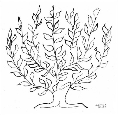 Henri Matisse, Le Platane (Zeichnung, Baum, Platane, Äste, Blätter, Skizze, Klassische Moderne, Wohnzimmer, Treppenhaus,  schwarz/weiß)