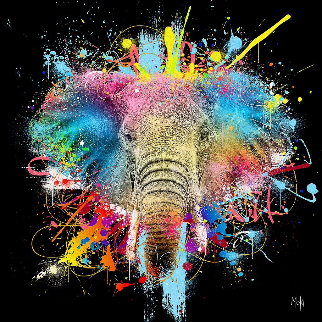 Moki, Eléphant Pop schwarz (Elefant, Tierportrait, Rüssel, Farbspritzer, Pop-Art, modern, schrill, Malerei, Jugendzimmer, Wohnzimmer, Treppenhaus, Wunschgröße, bunt)