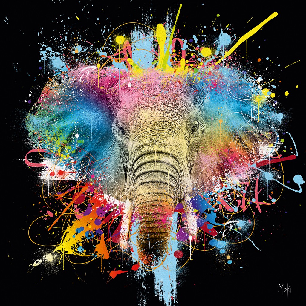 Moki, Eléphant Pop noir (Elefant, Tierportrait, Rüssel, Farbspritzer, Pop-Art, modern, schrill, Malerei, Jugendzimmer, Wohnzimmer, Treppenhaus,  bunt)